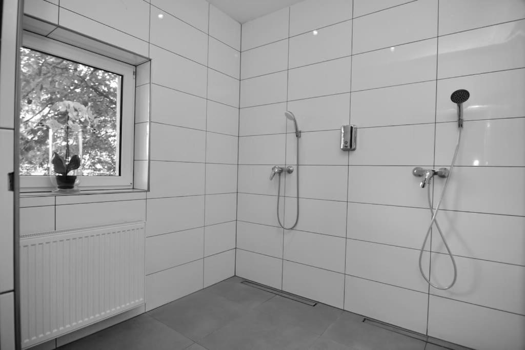 Fetischhaus Sm Apartment/Ferienwohnung فيسبادن المظهر الخارجي الصورة
